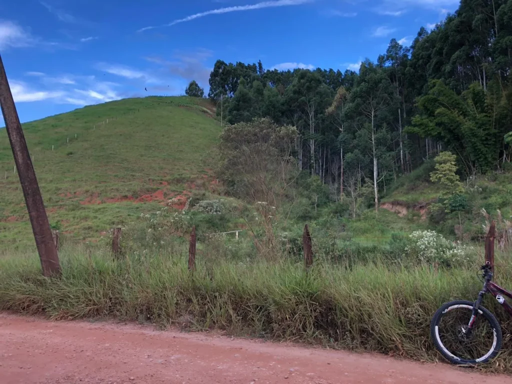 Área de 6 alqueires com eucaliptos, pasto e córrego no Alto Sertão, foto 2