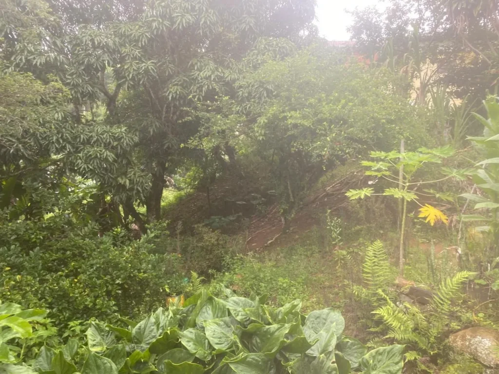 Casa de 3 quartos com casa nos fundos em Duas Barras, foto 10