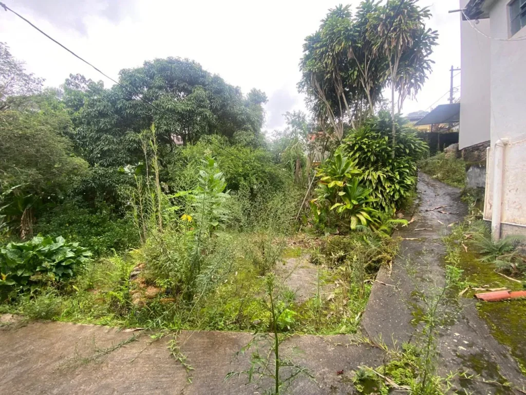 Casa de 3 quartos com casa nos fundos em Duas Barras, foto 12