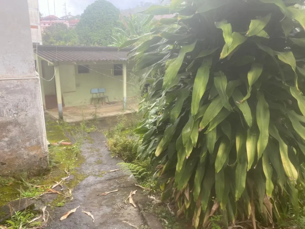 Casa de 3 quartos com casa nos fundos em Duas Barras, foto 13