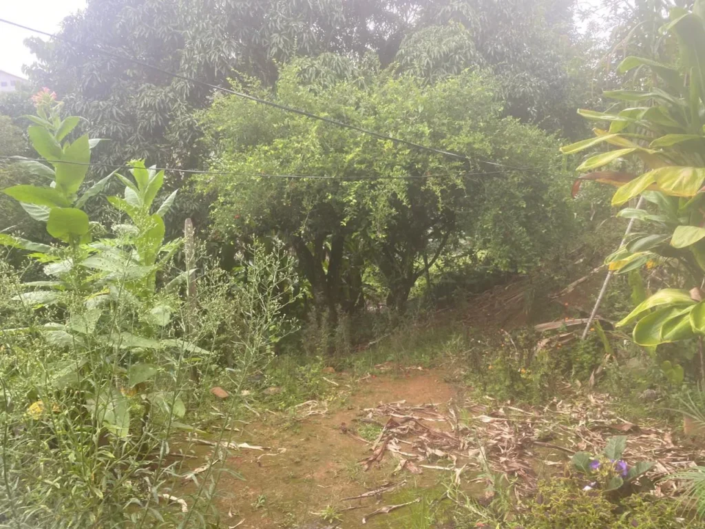 Casa de 3 quartos com casa nos fundos em Duas Barras, foto 23