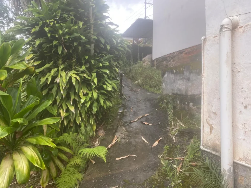 Casa de 3 quartos com casa nos fundos em Duas Barras, foto 3