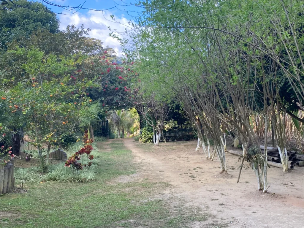 Chácara com casa sede de 400 m², açude e pomar, foto 14