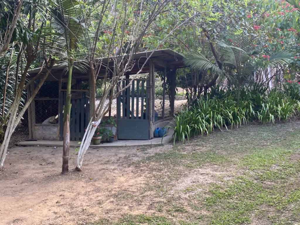 Chácara com casa sede de 400 m², açude e pomar, foto 15