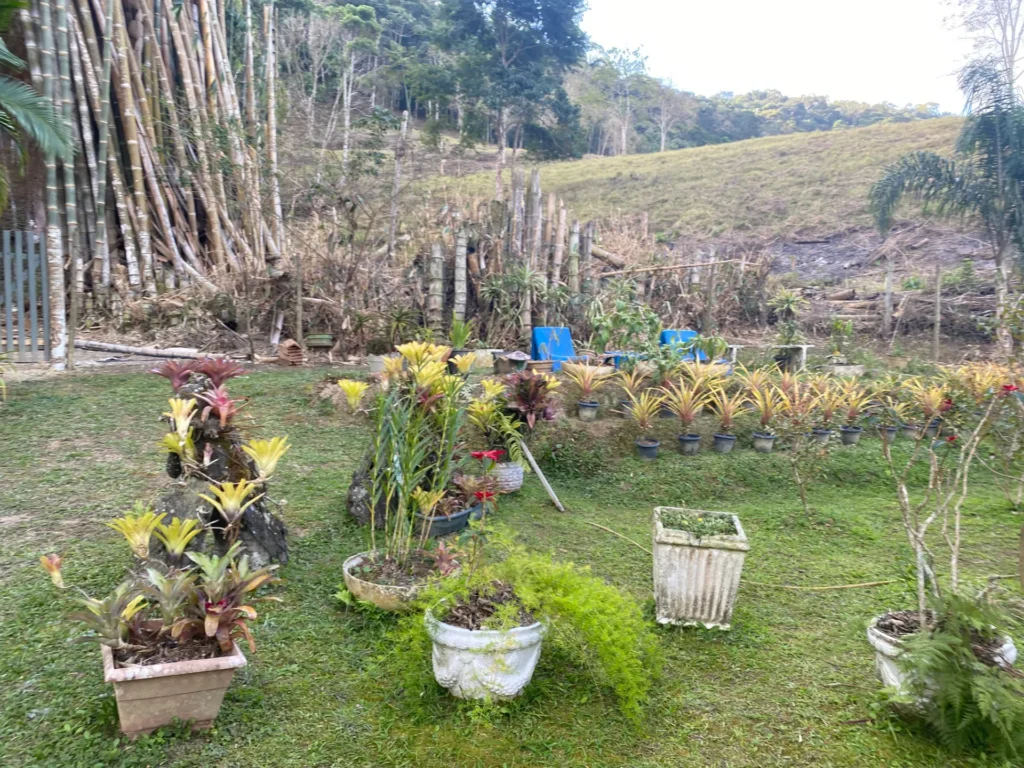Chácara com casa sede de 400 m², açude e pomar, foto 19