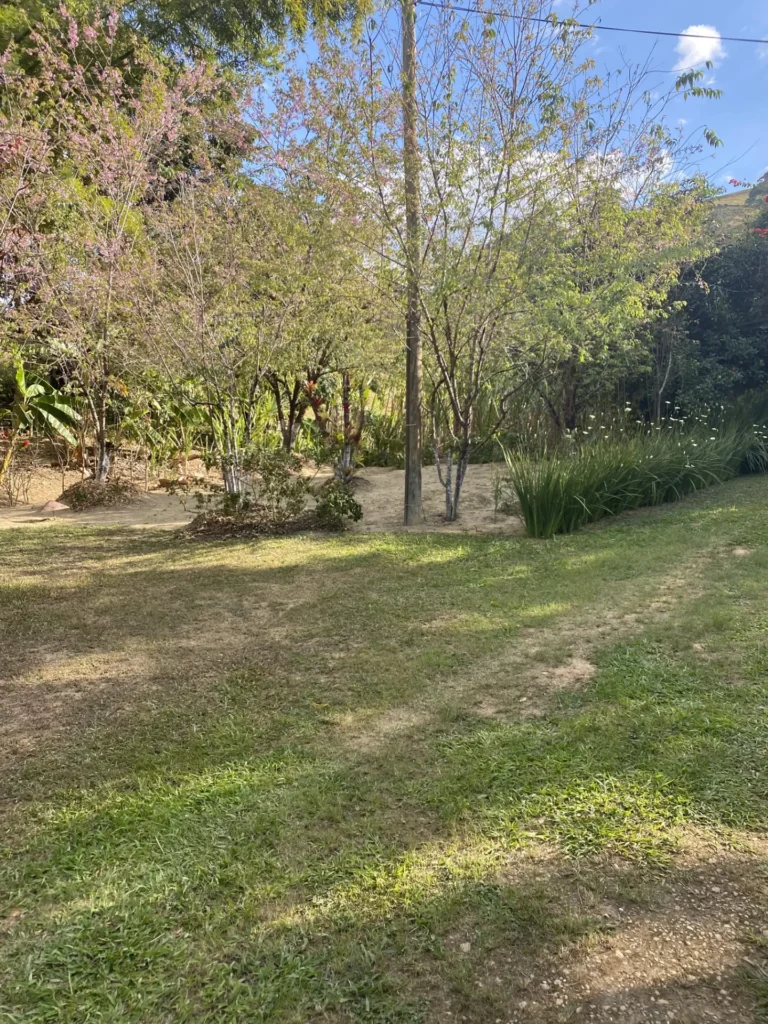 Chácara com casa sede de 400 m², açude e pomar, foto 7