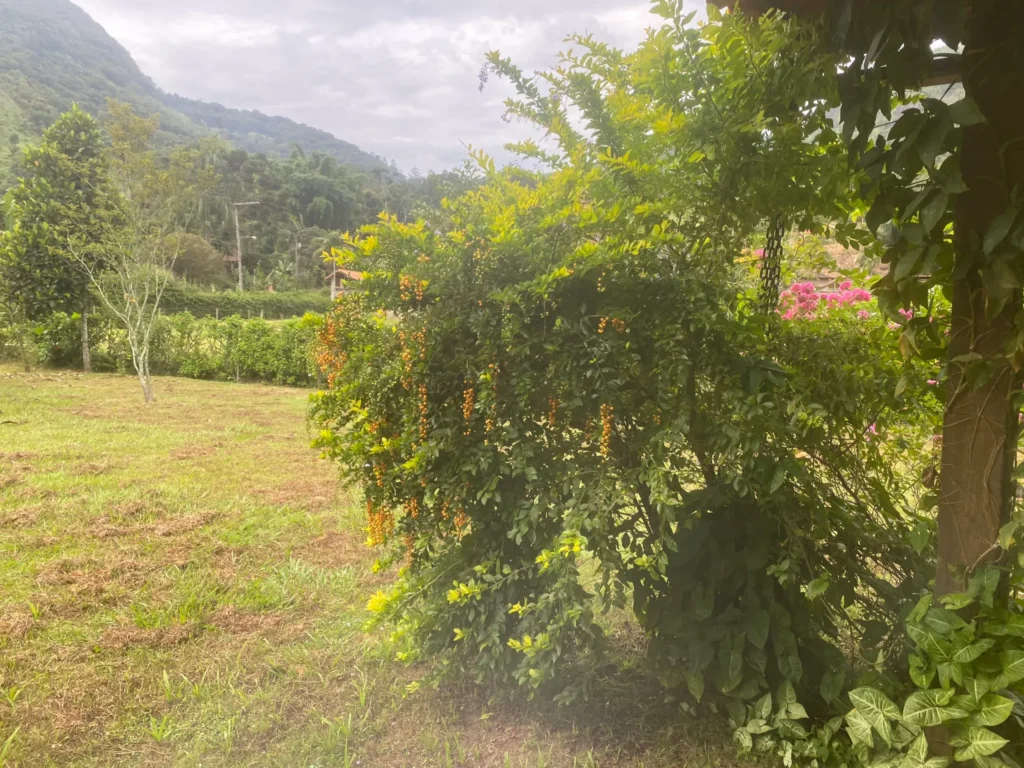 Chácara de 1.353 m² com piscina e casa de 4 quartos