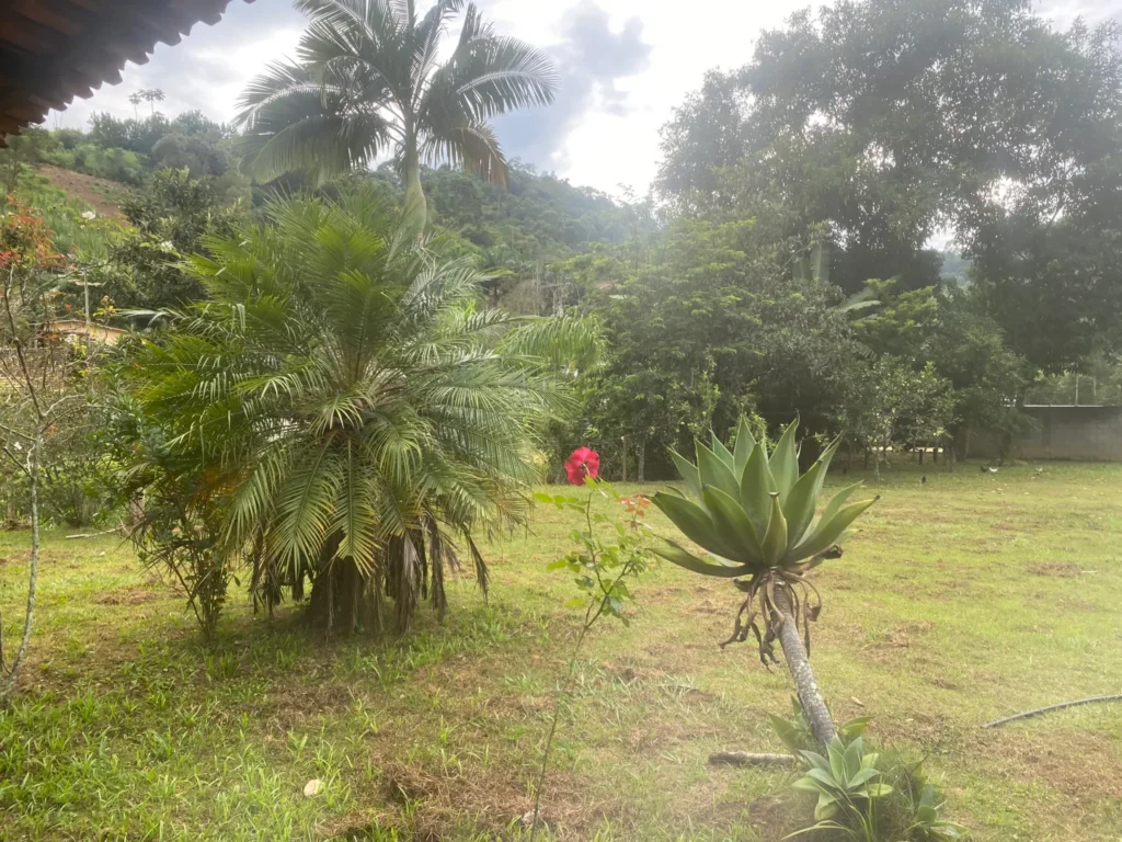 Chácara de 1.353 m² com piscina e casa de 4 quartos, foto 3