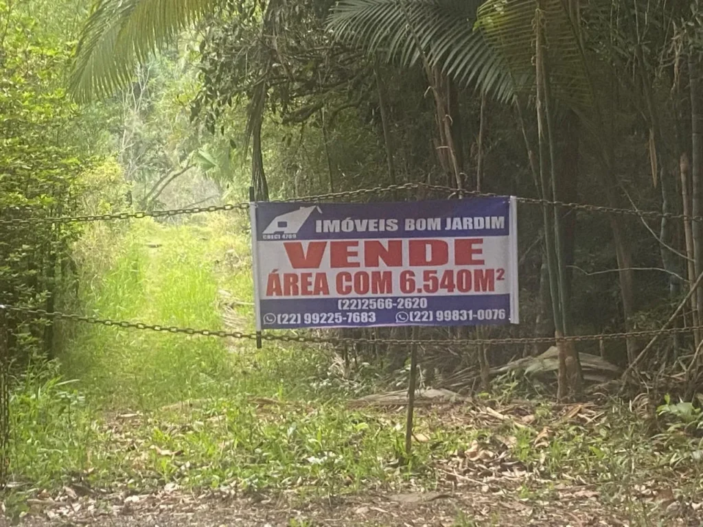 Chácara de 6.540 m² com área plana e ótimo acesso, foto 2