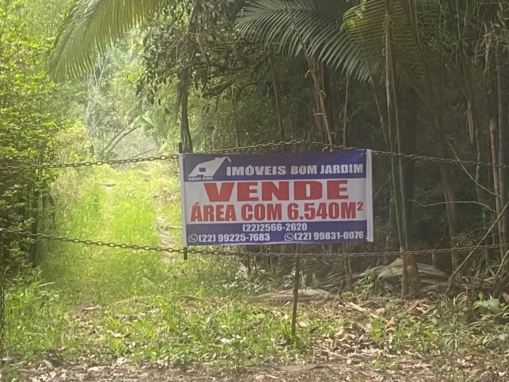 Chácara de 6.540 m² com área plana e ótimo acesso, foto 3