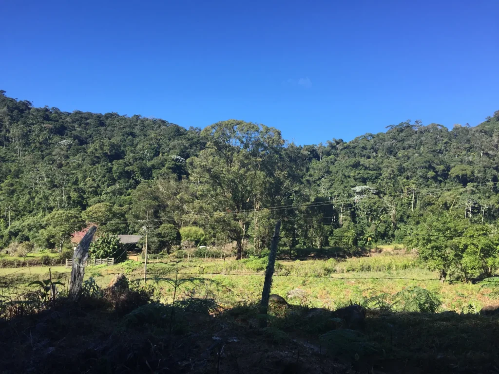 Fazenda de 47 alqueires no Alto do Macabu, com rio e 6 nascentes