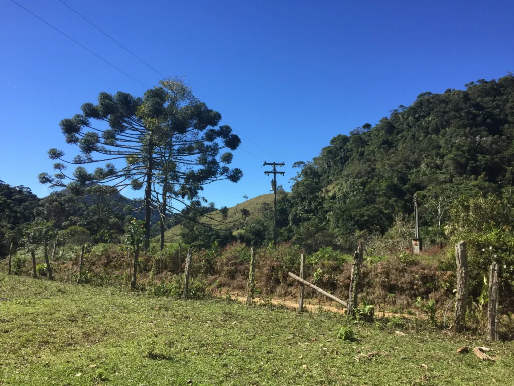 Fazenda de 47 alqueires no Alto do Macabu, com rio e 6 nascentes, foto 10