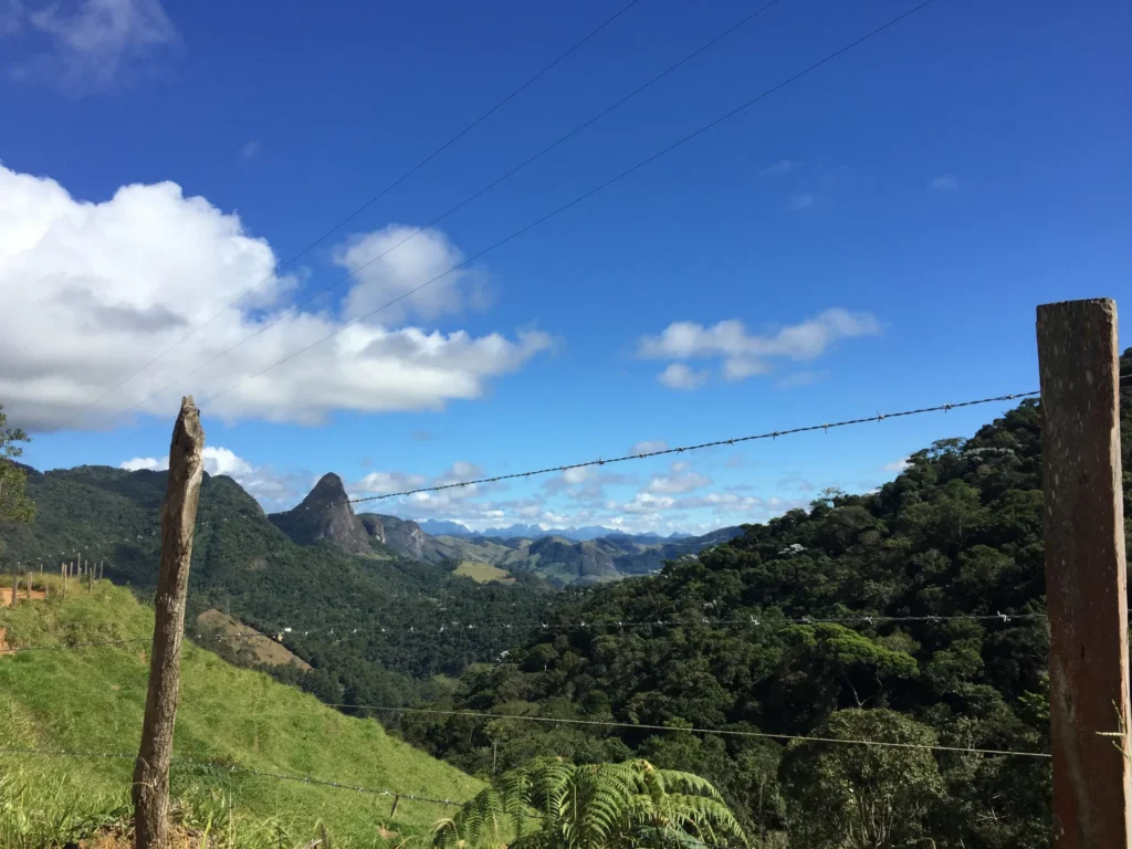 Fazenda de 47 alqueires no Alto do Macabu, com rio e 6 nascentes, foto 11