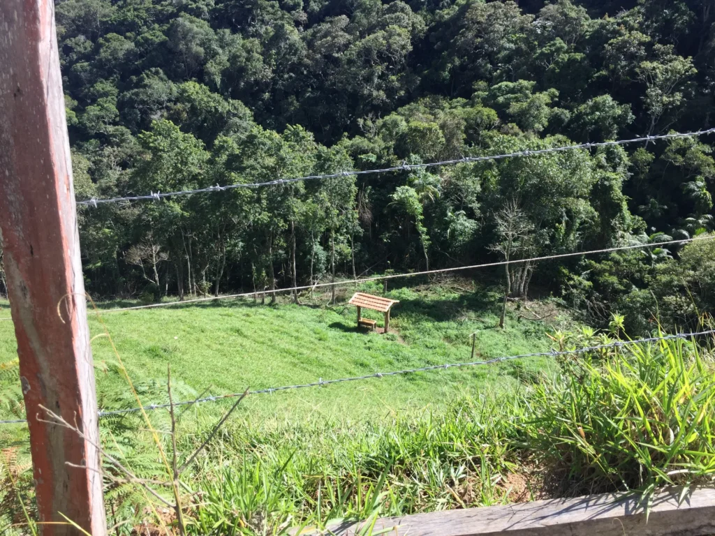 Fazenda de 47 alqueires no Alto do Macabu, com rio e 6 nascentes, foto 12