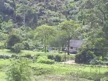 Fazenda de 47 alqueires no Alto do Macabu, com rio e 6 nascentes, foto 15