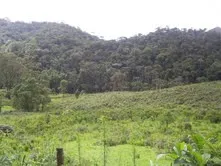 Fazenda de 47 alqueires no Alto do Macabu, com rio e 6 nascentes, foto 16