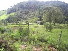 Fazenda de 47 alqueires no Alto do Macabu, com rio e 6 nascentes, foto 17