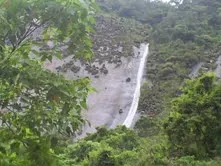 Fazenda de 47 alqueires no Alto do Macabu, com rio e 6 nascentes, foto 18