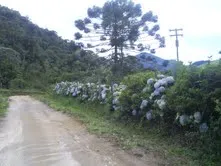 Fazenda de 47 alqueires no Alto do Macabu, com rio e 6 nascentes, foto 19