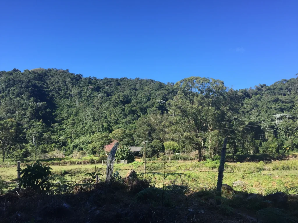 Fazenda de 47 alqueires no Alto do Macabu, com rio e 6 nascentes, foto 2