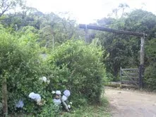 Fazenda de 47 alqueires no Alto do Macabu, com rio e 6 nascentes, foto 20