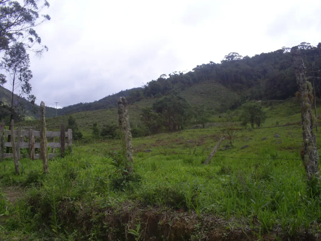 Fazenda de 47 alqueires no Alto do Macabu, com rio e 6 nascentes, foto 22
