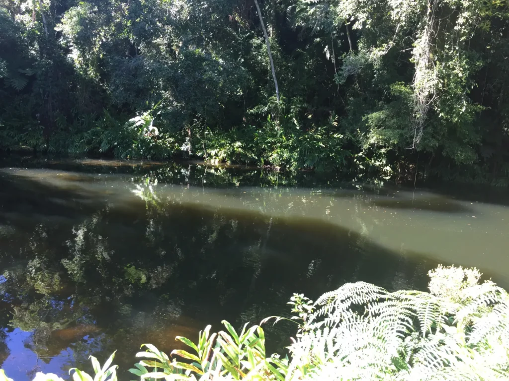 Fazenda de 47 alqueires no Alto do Macabu, com rio e 6 nascentes, foto 5