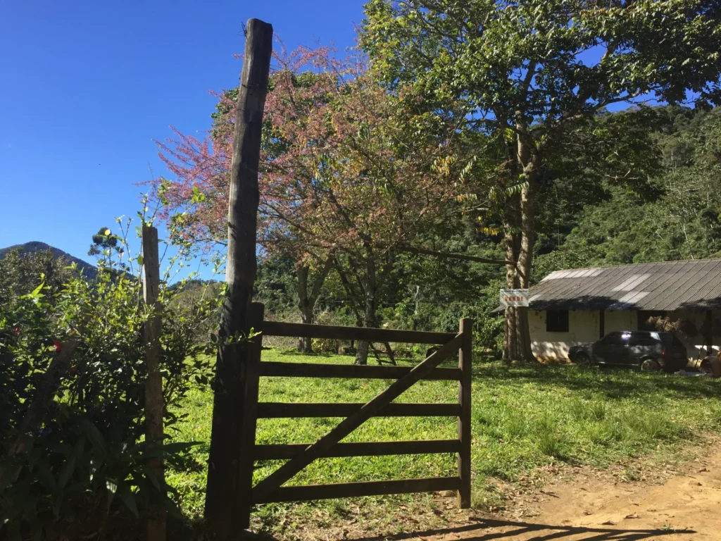 Fazenda de 47 alqueires no Alto do Macabu, com rio e 6 nascentes, foto 7