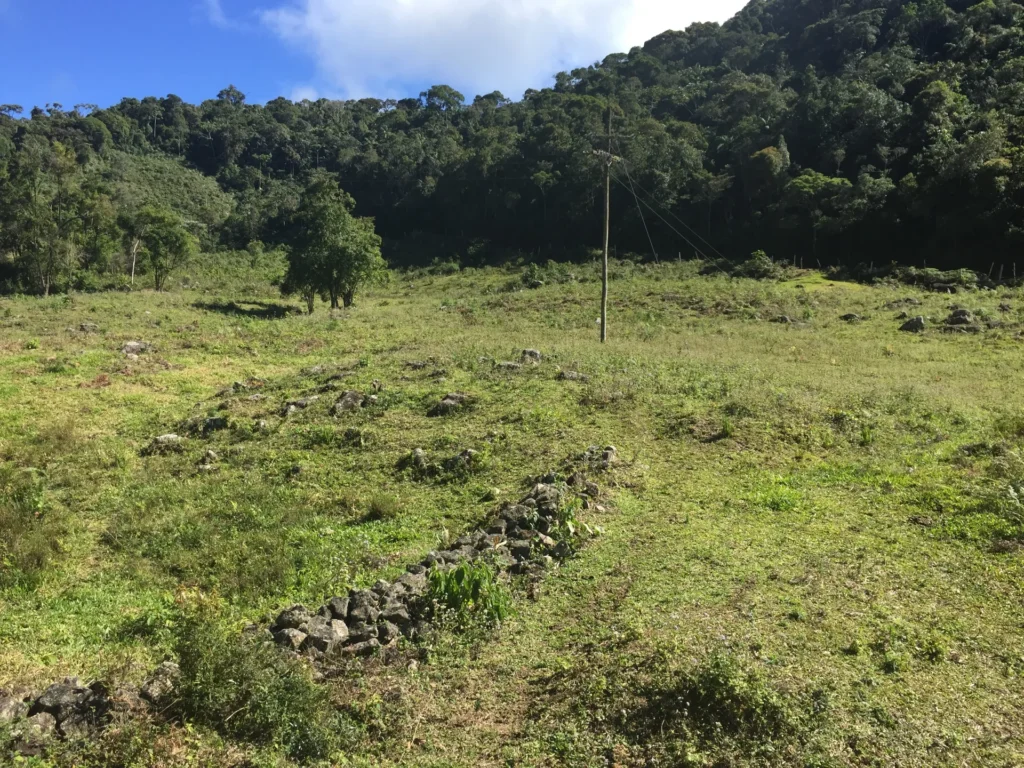 Fazenda de 47 alqueires no Alto do Macabu, com rio e 6 nascentes, foto 8