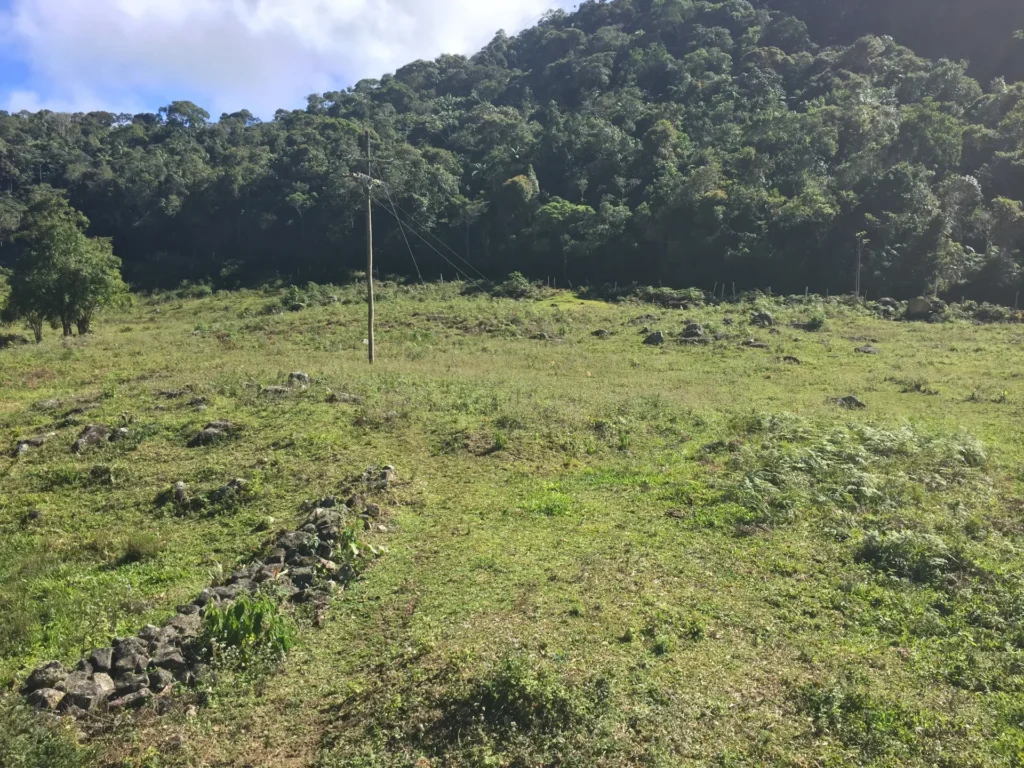Fazenda de 47 alqueires no Alto do Macabu, com rio e 6 nascentes, foto 9