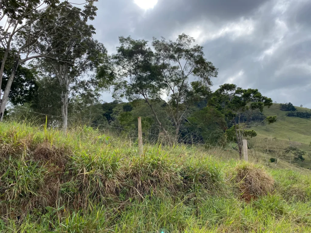 Lotes de 250 m² em Monnerat