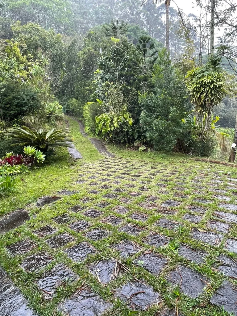 Sítio com rio e pomar em Lumiar, Nova Friburgo