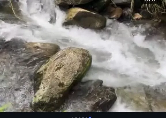Sítio com rio e pomar em Lumiar, Nova Friburgo, foto 14