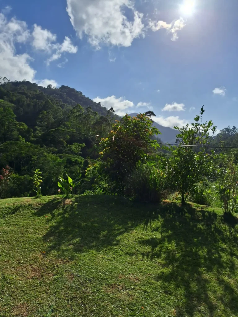 Sítio com rio e pomar em Lumiar, Nova Friburgo, foto 16