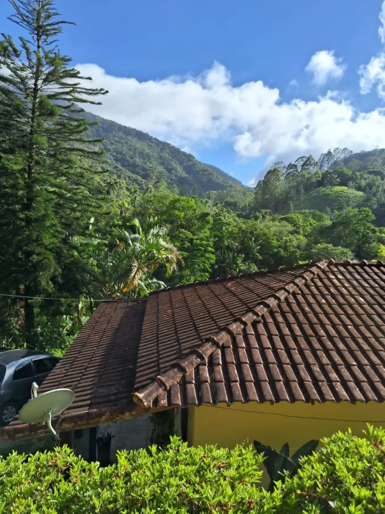 Sítio com rio e pomar em Lumiar, Nova Friburgo, foto 7