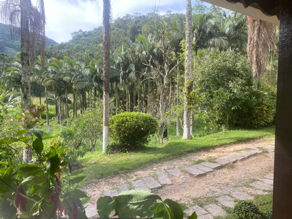 Sítio de 136.000 m² com casa sede nova, estufas e nascentes, foto 3