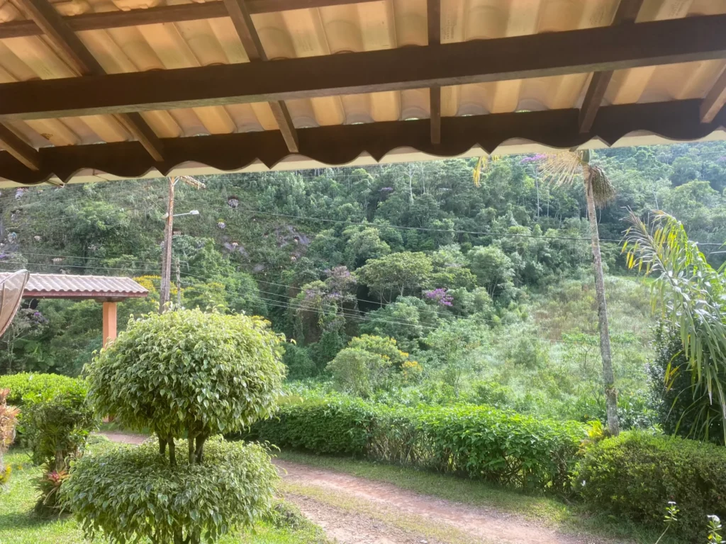 Sítio de 136.000 m² com casa sede nova, estufas e nascentes, foto 4