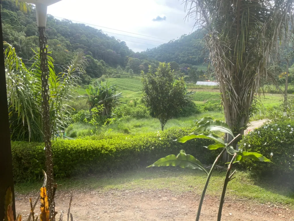 Sítio de 136.000 m² com casa sede nova, estufas e nascentes, foto 5