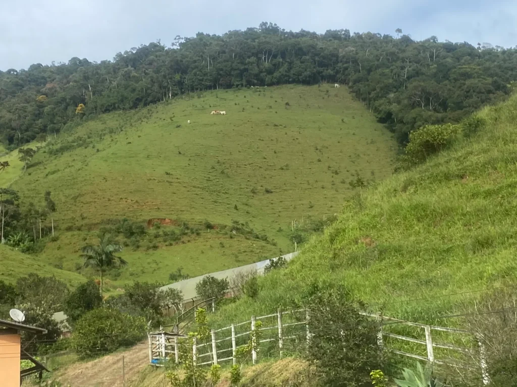 Sítio de 136.000 m² com casa sede nova, estufas e nascentes, foto 7