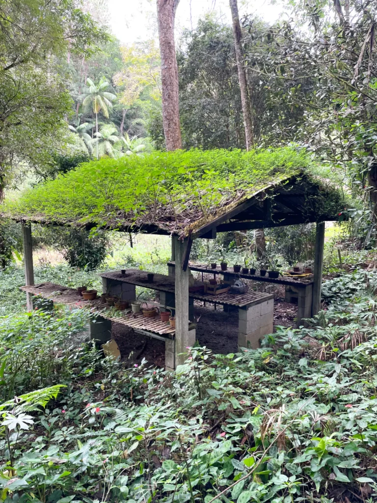 Sítio de 136.000 m² em Duas Barras com mata nativa e nascente, foto 15