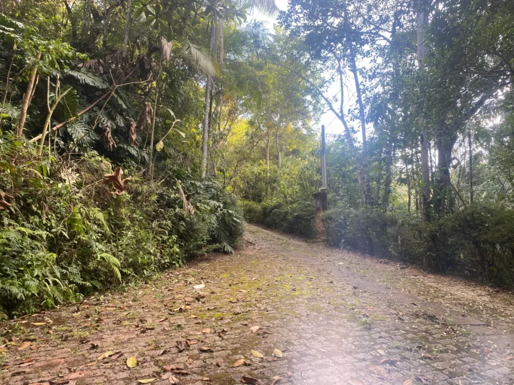 Sítio de 136.000 m² em Duas Barras com mata nativa e nascente, foto 19