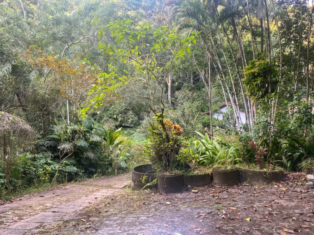 Sítio de 136.000 m² em Duas Barras com mata nativa e nascente, foto 20