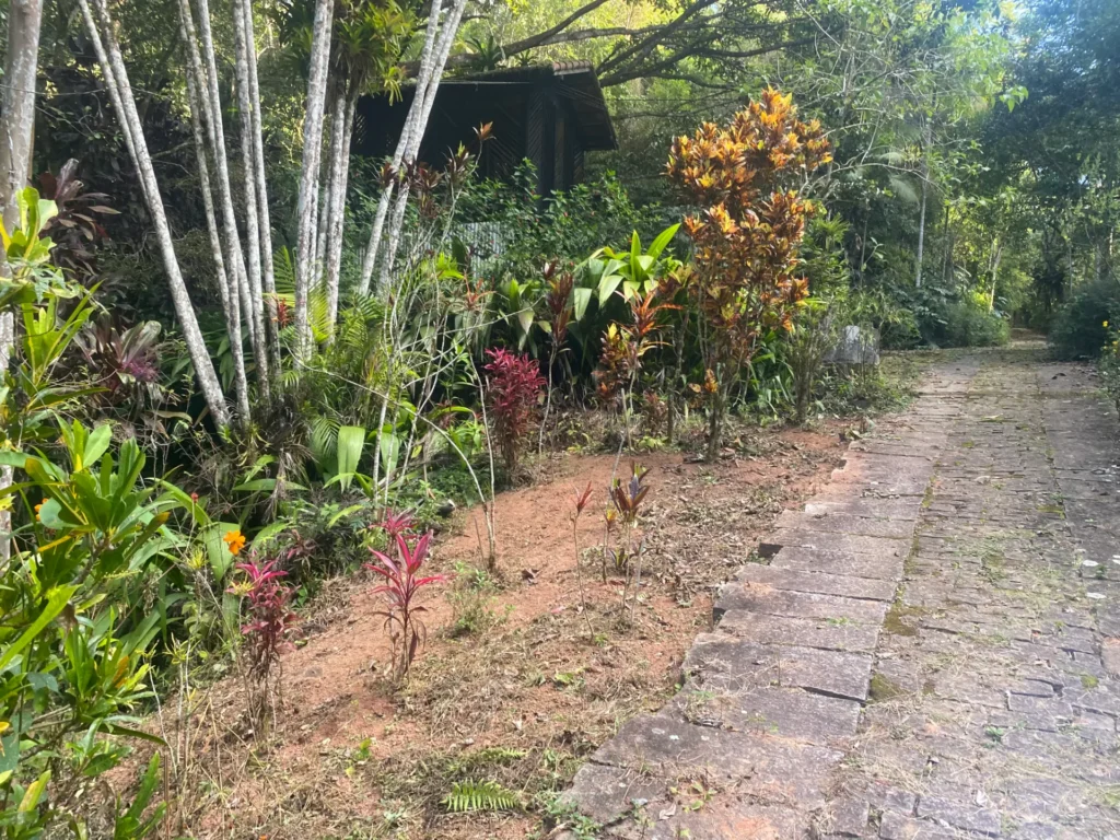 Sítio de 136.000 m² em Duas Barras com mata nativa e nascente, foto 21