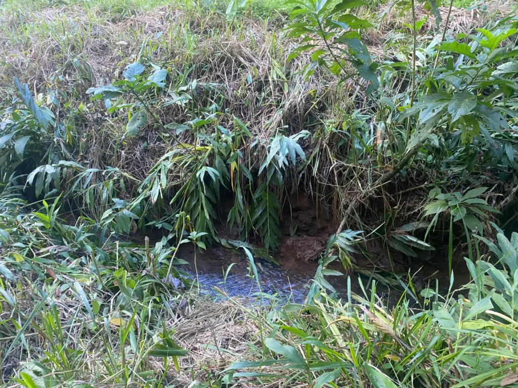 Sítio de 136.000 m² em Duas Barras com mata nativa e nascente, foto 30