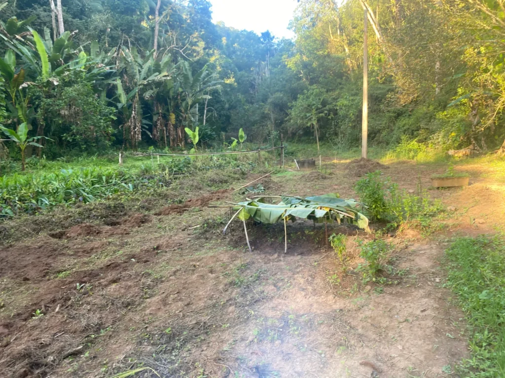 Sítio de 136.000 m² em Duas Barras com mata nativa e nascente, foto 33