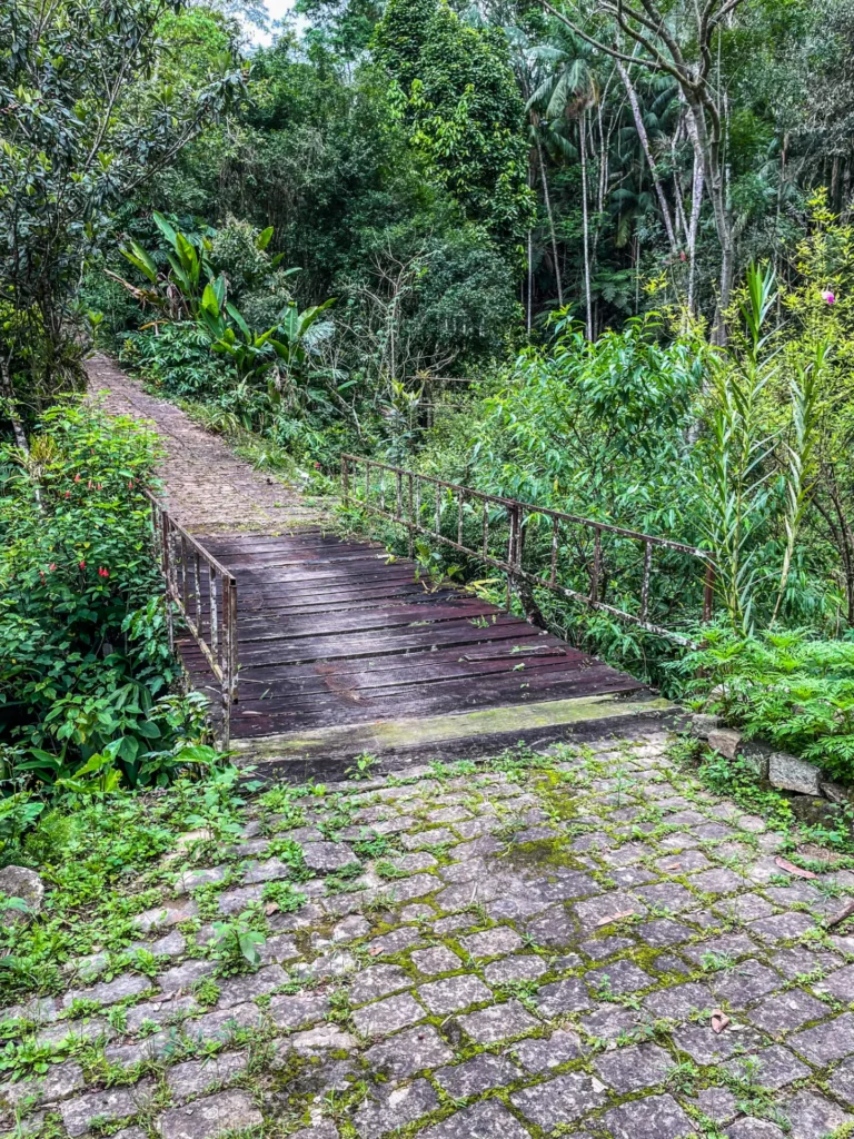 Sítio de 136.000 m² em Duas Barras com mata nativa e nascente, foto 4