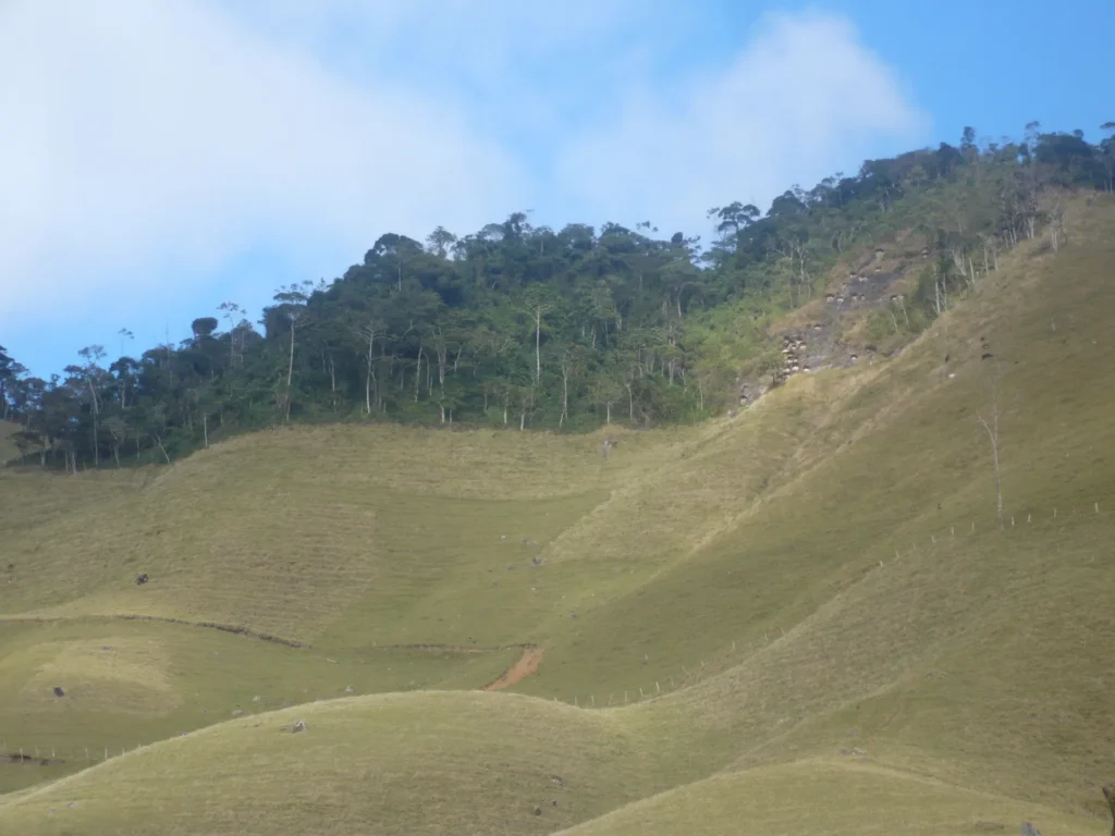 Sítio de 17 alqueires com pastagens, perto de Santo Antônio