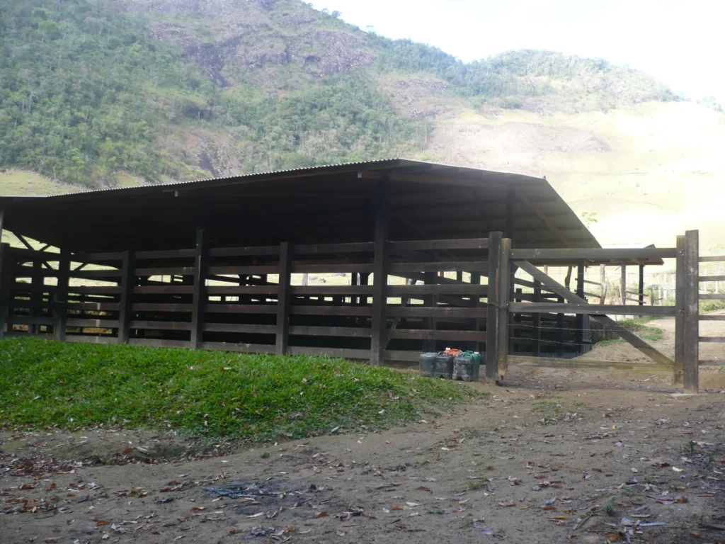 Sítio de 17 alqueires com pastagens, perto de Santo Antônio, foto 10