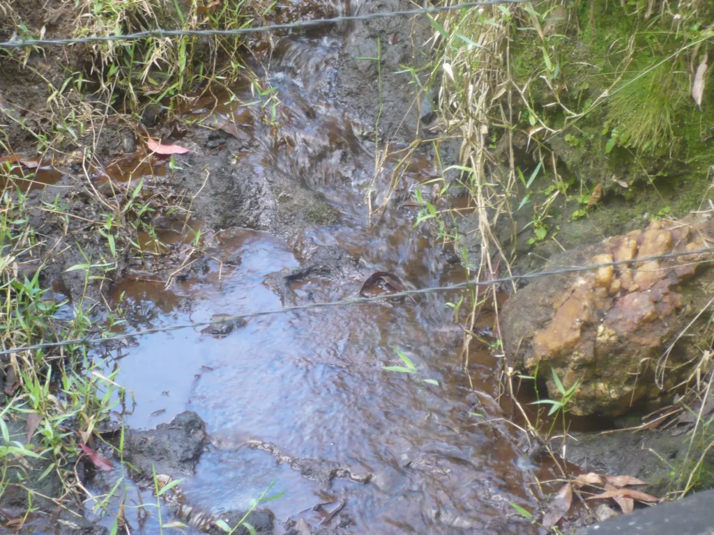 Sítio de 17 alqueires com pastagens, perto de Santo Antônio, foto 2