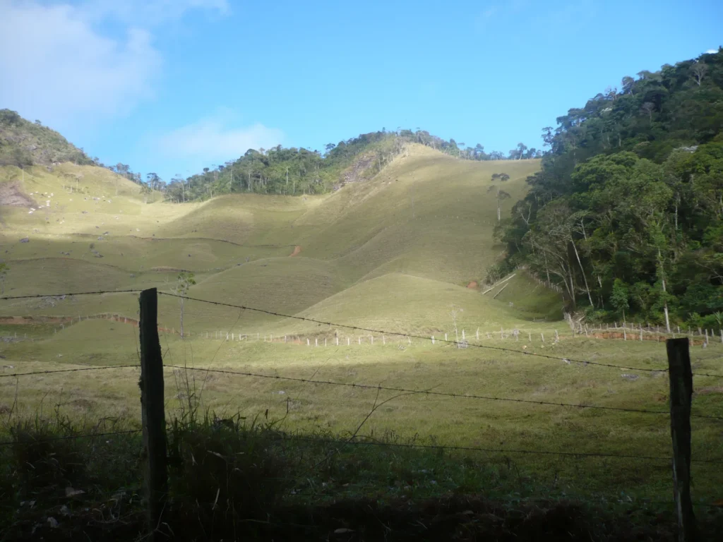 Sítio de 17 alqueires com pastagens, perto de Santo Antônio, foto 3